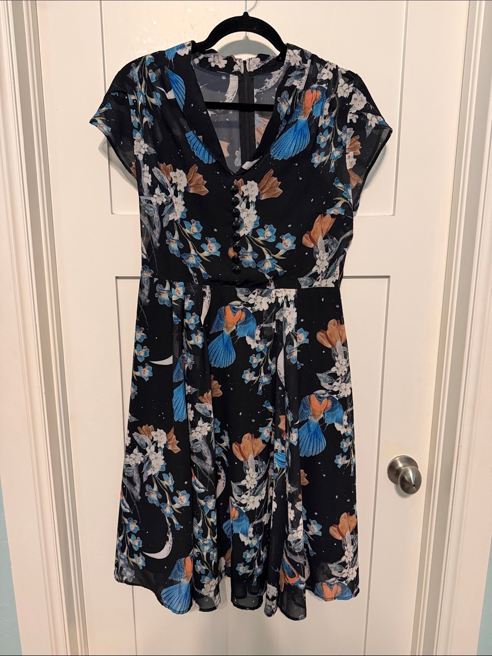 Hell Bunny Starry Nights Black V-Neck Skater Dress with Blue and Tan Bird Print